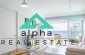 OltaSuch A118 img 13
