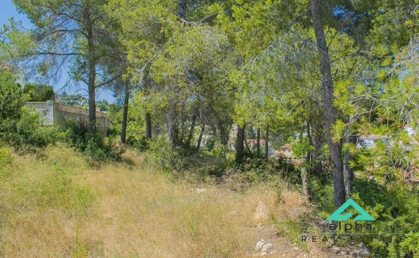 P45 img 16